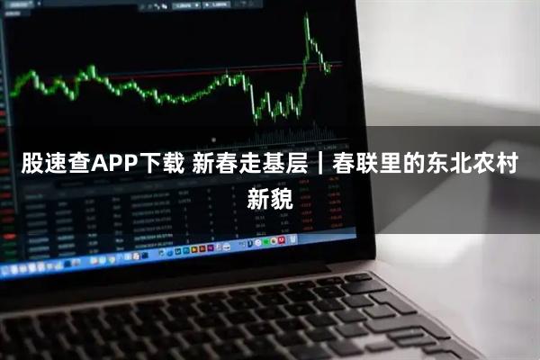 股速查APP下载 新春走基层｜春联里的东北农村新貌