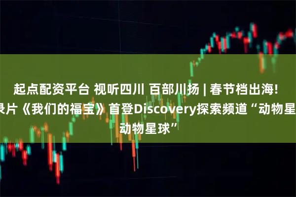 起点配资平台 视听四川 百部川扬 | 春节档出海! 纪录片《我们的福宝》首登Discovery探索频道“动物星球”