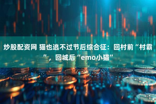 炒股配资网 猫也逃不过节后综合征：回村前“村霸”，回城后“emo小猫”