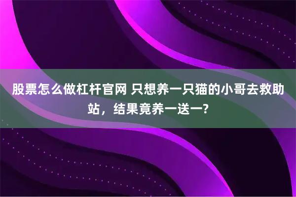 股票怎么做杠杆官网 只想养一只猫的小哥去救助站，结果竟养一送一?